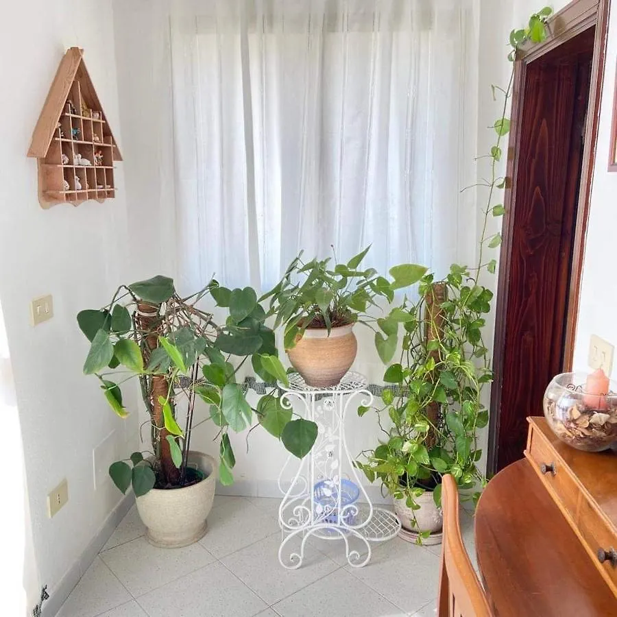 Villa Casa Maltinu Santa Teresa di Gallura 0*,
