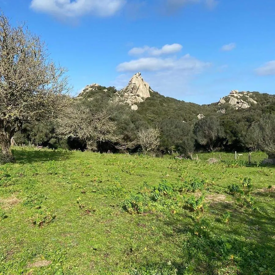 Villa Casa Maltinu Santa Teresa di Gallura Casa vacanze