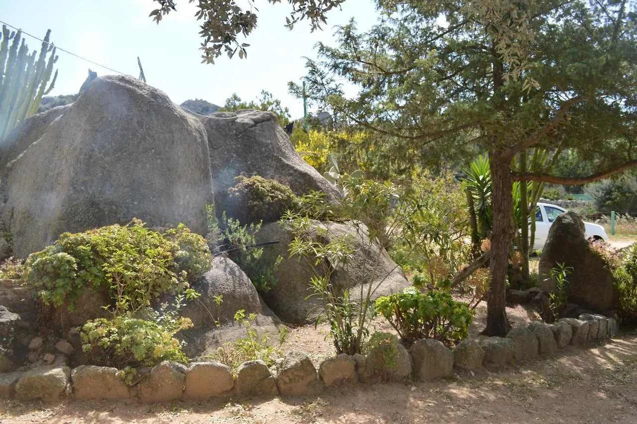 Casa Maltinu Villa Santa Teresa Gallura Holiday home